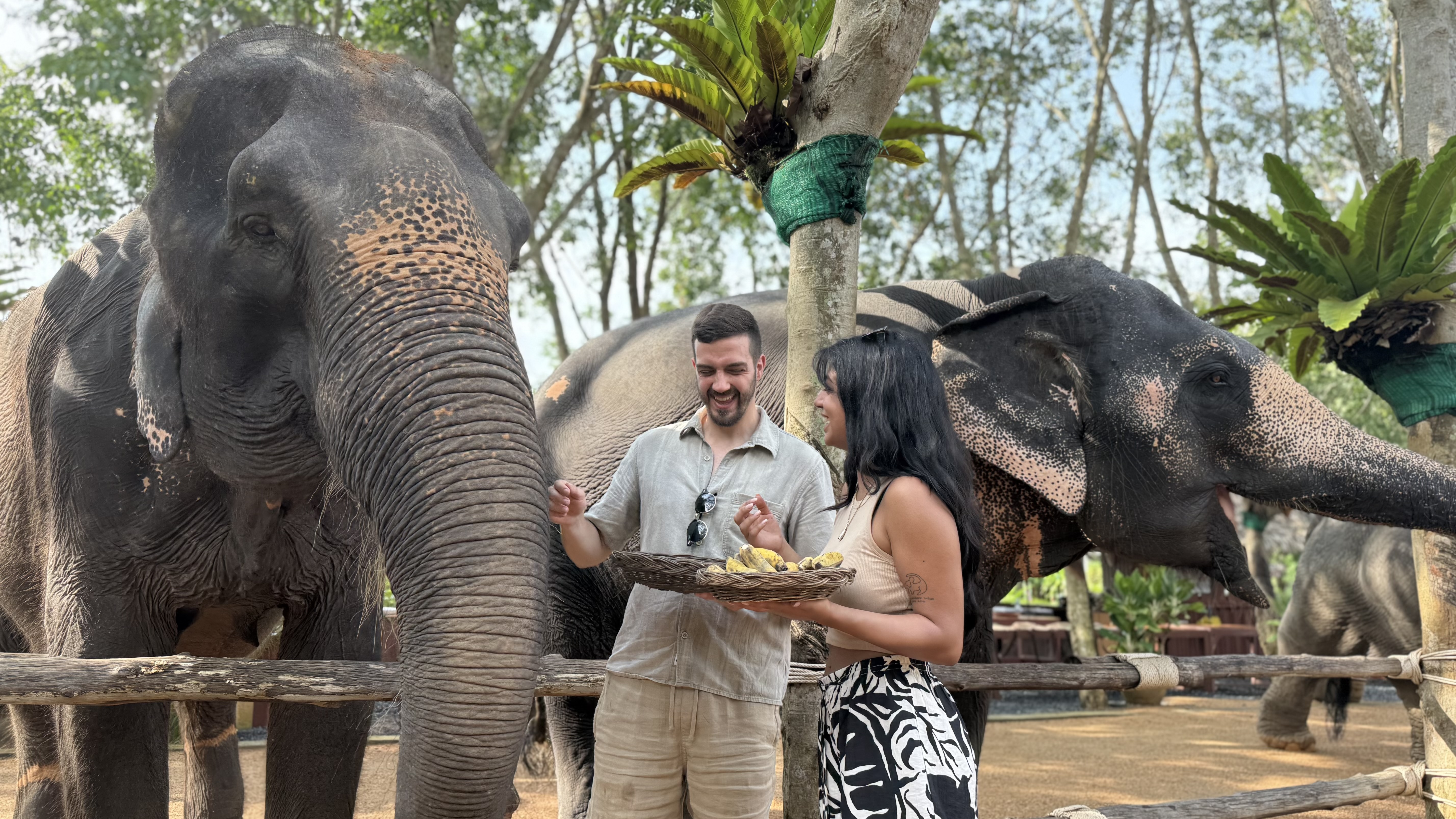 Elephant Sanctuary, Koh Samui